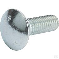 Болт DIN603 M10x30